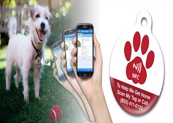  NFC Digitaliza a velocidade da informação para resgatar muitos animais de estimação desaparecidos